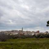 Un paese che si erge su un'altura di 177 metri, custode di chiese, palazzi nobiliari, leggendarie reliquie e corpi di uomini illustri. � Palo del Colle, millenaria cittadina situata tra i comuni di Bitonto e Bitetto le cui origini vengono fatte risalire nientemeno che agli eredi dell�eroe Ercole